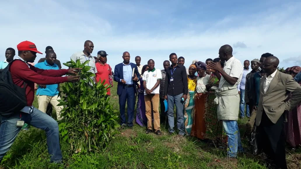 Farmer Networks